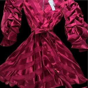 New Alice and Olivia Santina Striped gathered-sleeve dress stripe Bordeaux.